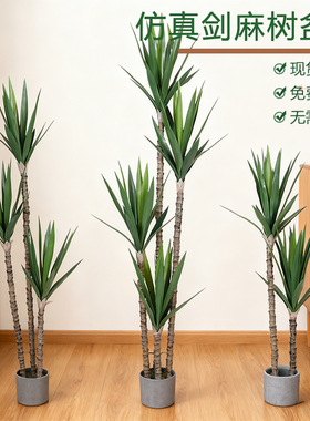 跨境人造剑麻树盆栽龙舌兰假树室内家居摆件橱窗造景装饰仿真绿植