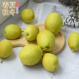 仿真新疆库尔勒香梨 小假全母子梨青皮脆模型道具装饰摆件幼儿园