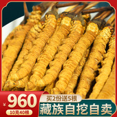 10克40根西藏那曲冬虫夏草正品 藏族自营 虫草干货旗舰店礼盒装