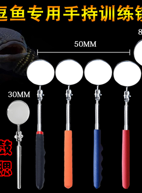 雷龙训练镜可伸缩斗鱼镜子训食咬缸追手逗鱼镜不锈钢罗汉互动镜
