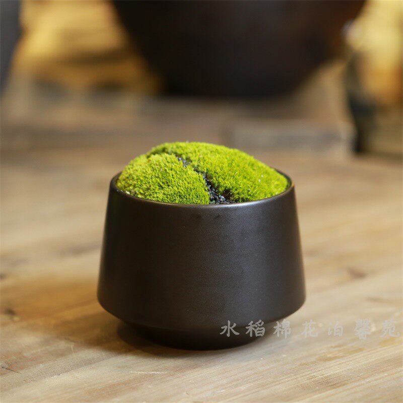 现代简约彷真植物套装苔藓花艺组合桌摆花洽谈茶几样板软装饰摆件
