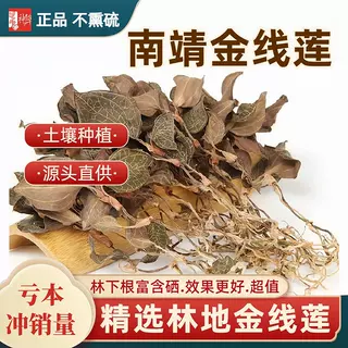 金线莲干品特级整株250g24个月福建南靖林下生态正宗金线莲养生茶