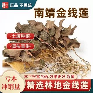 南靖整株金线莲干品250g林下无硫