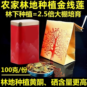 金线莲中药材干品福建南靖100g