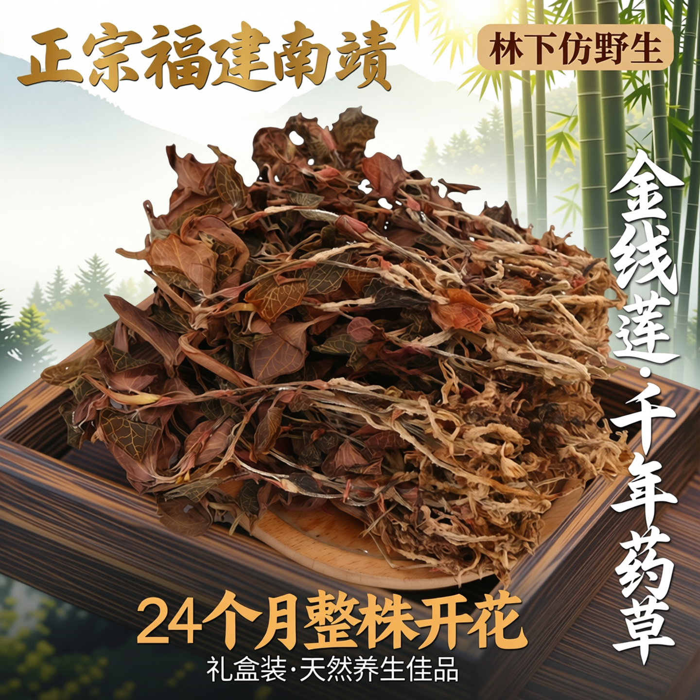 正宗福建南靖金线莲林下仿野生金线莲24个月整株开花金线莲礼盒装