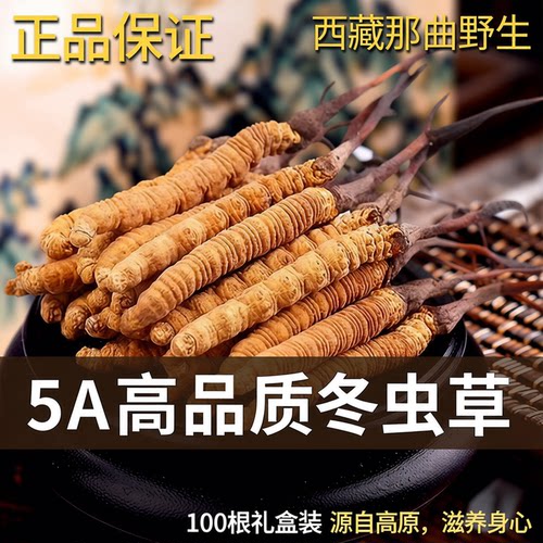 西藏那曲冬虫夏草野生虫草礼盒
