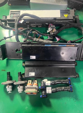 北汽极狐考拉S 江苏时代 360V 宁德时代磷酸铁锂163.5Ah 58.8度电