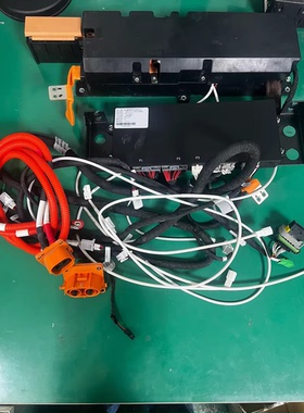 宝骏e300 鹏辉电源磷酸铁锂动力电池包，115V 226Ah 26度电