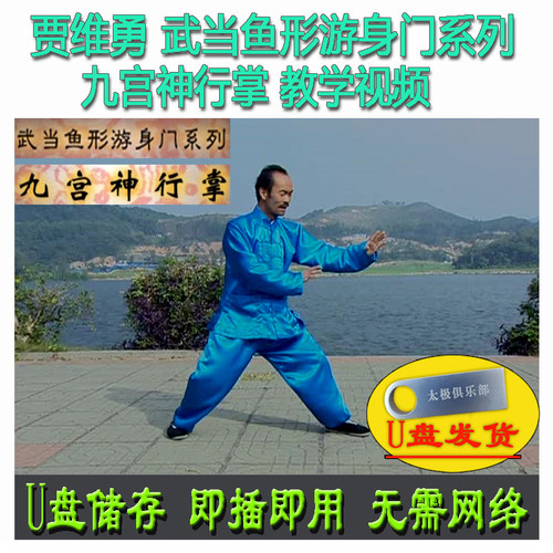 贾维勇 九宫神行掌U盘视频 武当鱼形游身门系列武术教学分解讲解