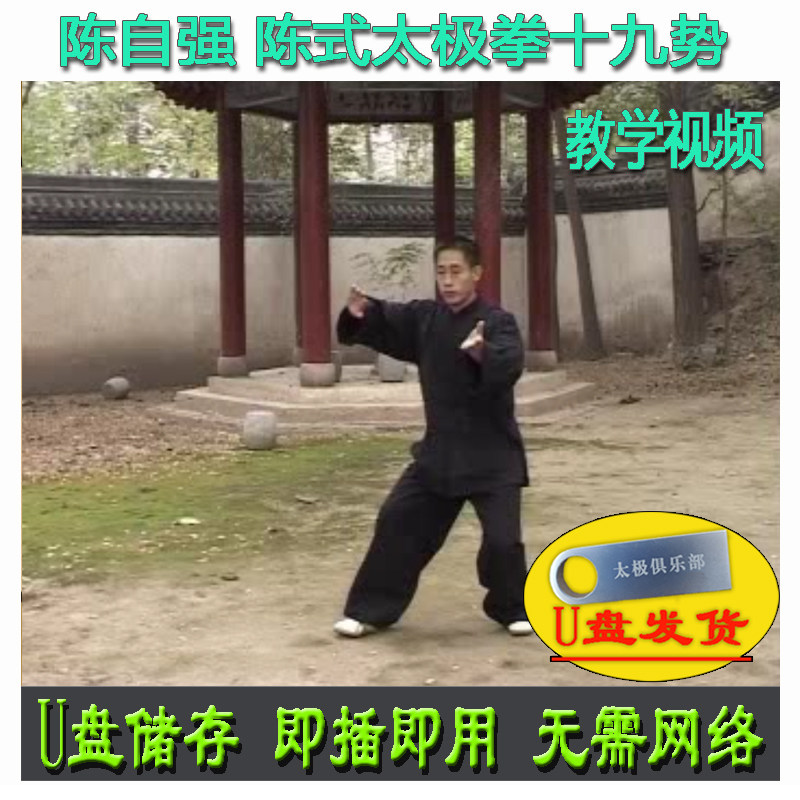 陈自强 陈式太极拳十九式套路U盘视频 中英双语陈氏19式讲解教学