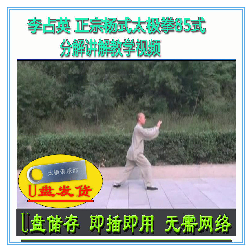李占英 传统杨式太极拳85式 u盘视频 杨氏八十五式讲解教学