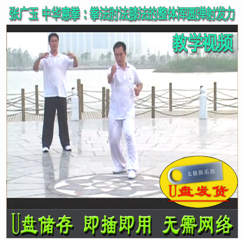 张广玉 中华意拳系列:拳法肘法、膝法的整体浑圆弹射发力 U盘视频