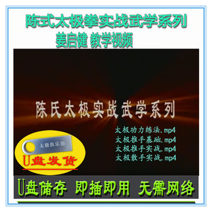 姜启健 陈式太极拳实战武学系列全集U盘视频陈氏推手散手功力练法