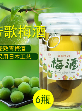 日式梅酒芳歌完熟青梅酒女士梅酒青梅子果酒利口酒160m*6瓶装包邮