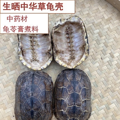 中药材生晒龟壳外塘中华草龟壳龟苓膏辅料煮汤龟壳乌龟上甲龟板