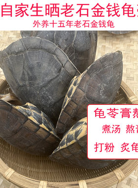 龟壳中药用石金钱龟壳龟板生晒龟苓膏辅料龟甲上半边干货煮汤老壳