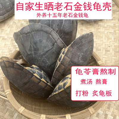 龟壳中药用石金钱龟壳龟板生晒龟苓膏辅料龟甲上半边干货煮汤老壳