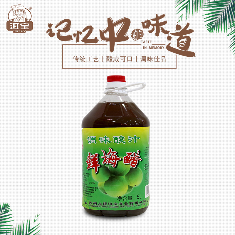 洱宝调味品大理特产鲜梅醋