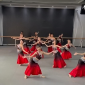 旦傣族舞表演服女红色弹力孔雀舞表演服装 新款 儿童傣族舞演出服元