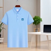 工衣 冰丝企业团体POLO短袖 碧桂园物业工作服T恤定制logo薄款 夏季