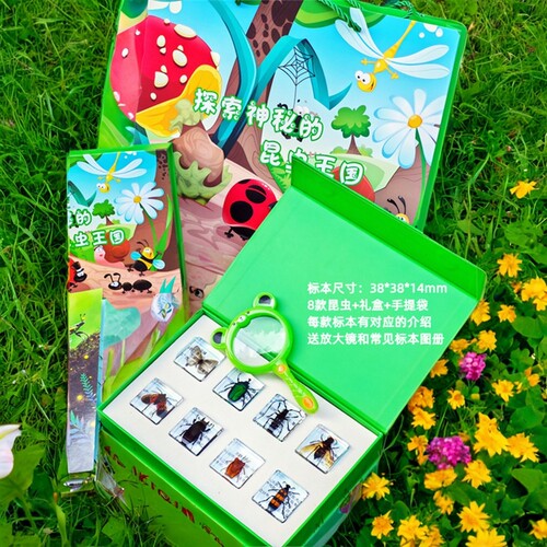 千千谷昆虫标本树脂包埋认知礼物