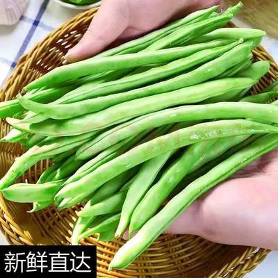 岳人农特新鲜蔬菜四季豆拍3包邮