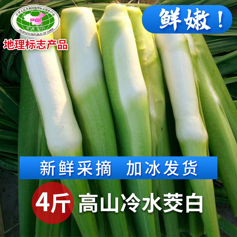 2024年新鲜茭白上市时令农家蔬菜高笋茭儿菜孕妇下奶食品酒店食材