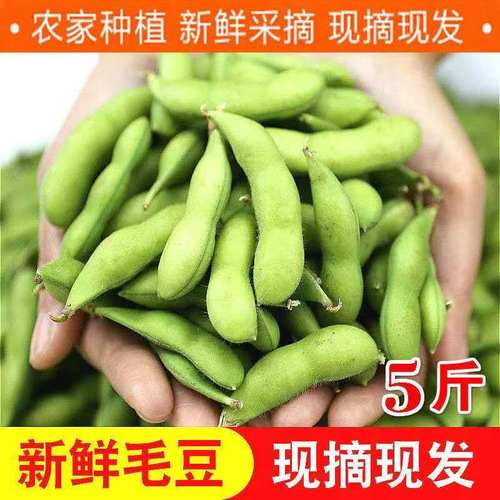 岳人农特新鲜蔬菜毛豆荚青豆角