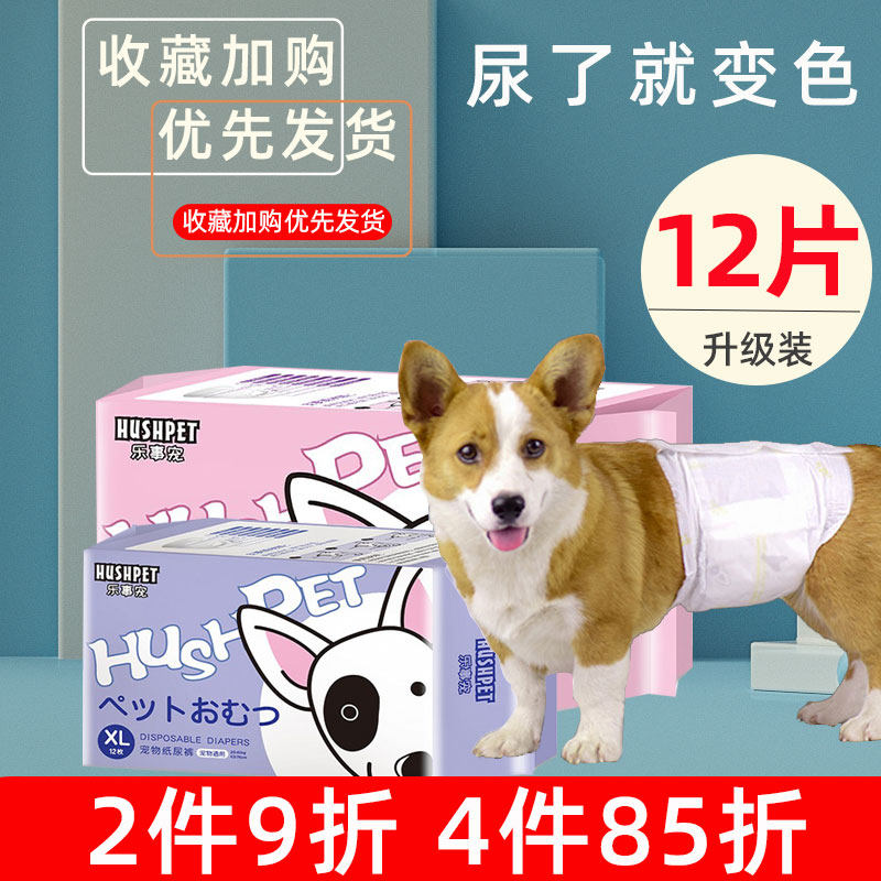 公狗纸尿裤宠物姨妈巾泰迪尿不湿母狗专用经期卫生巾生理裤狗用品