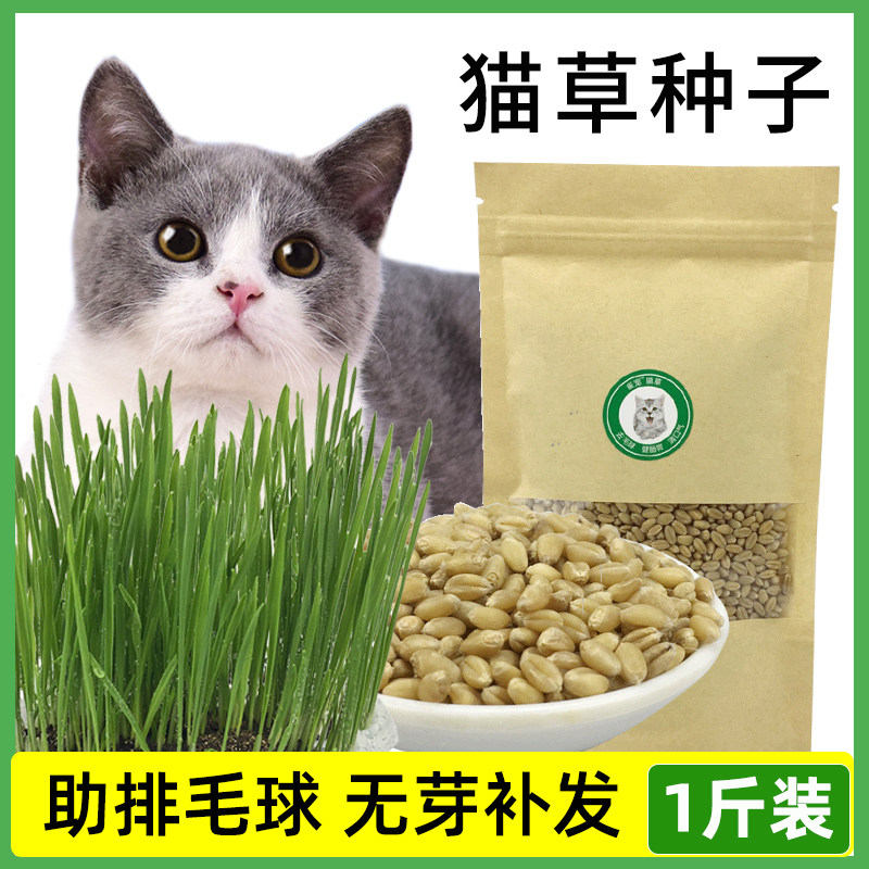 猫草 種子 小麦 草 水耕 栽培 ツペイ 行く 毛玉 猫ミント キャットスナック 500g 小包 中国仕入れ Com