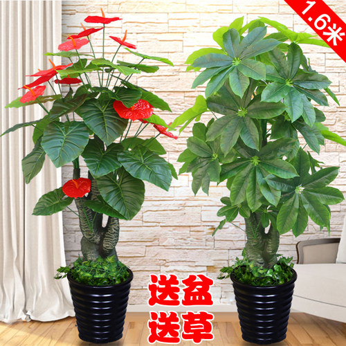 室内装饰假花发财树假树