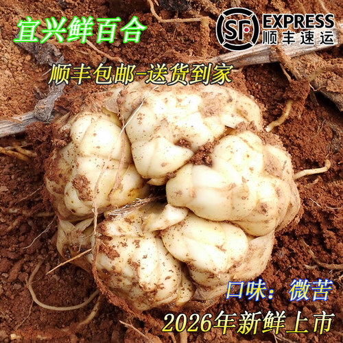 2026年新鲜百合顺丰包邮