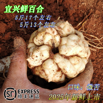 2025年现挖宜兴新鲜百合顺丰