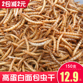 面包虫干黄粉虫仓鼠粮金丝熊刺猬高蛋白营养零食龟粮鸟食150g 包邮