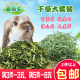 爱尚它宠物干草套餐 豚鼠龙猫主食兔子饲料牧草500g 提摩西苜蓿草