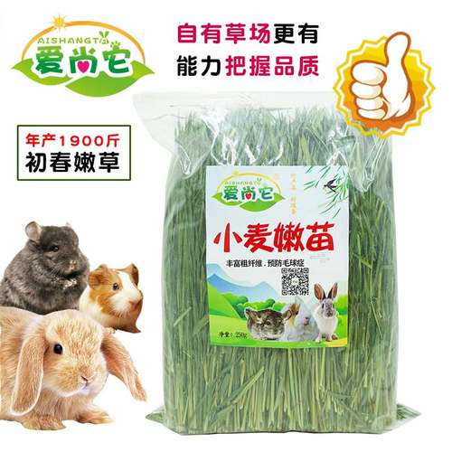 爱尚它小麦草嫩苗兔子磨牙助消化