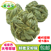 买3送1 防拆家 兔子解闷玩具球宠物铃铛提摩西草球豚鼠龙猫磨牙串
