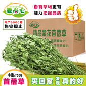 爱尚它烘干苜蓿草幼兔主粮饲料豚鼠龙猫兔子荷兰猪营养牧干草750g