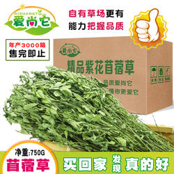 2025头茬紫花苜蓿草大叶脆绿兔子干草龙猫豚鼠荷兰猪宠物牧草包邮