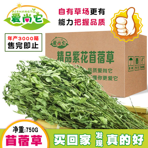 爱尚它兔子荷兰猪精品苜蓿草干草