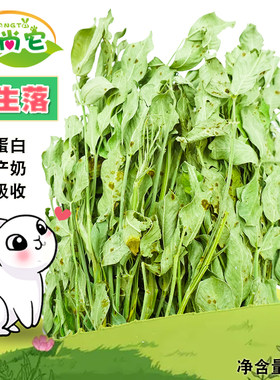 爱尚它烘干花生草叶兔子龙猫增肥