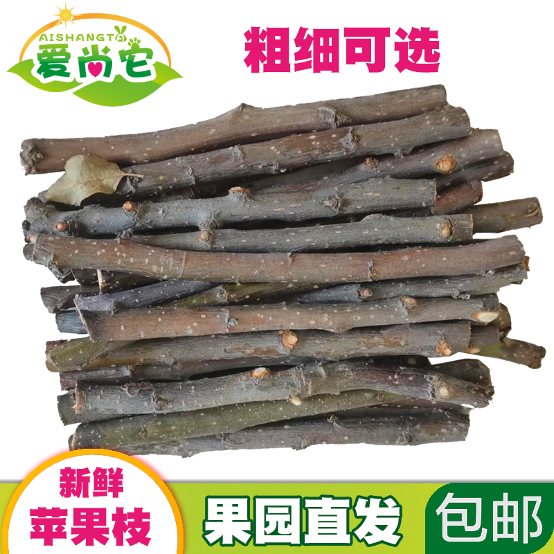 新鲜苹果枝兔子龙猫豚鼠仓鼠磨牙棒树枝玩具零食小宠用品果园直发