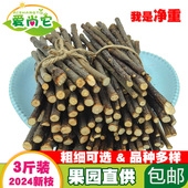 烘干苹果枝甜竹兔子磨牙棒龙猫专用苹果木树枝仓鼠金丝熊零食用品
