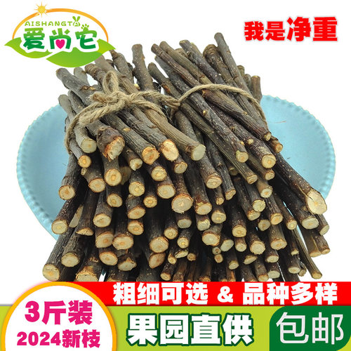 新苹果枝甜竹龙猫磨牙棒