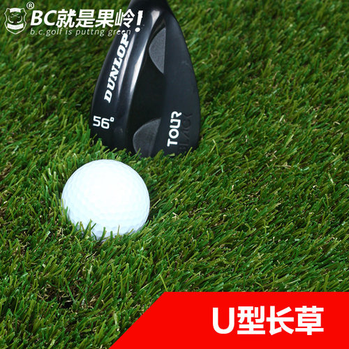 B·C·GOLF高尔夫高尔夫果岭草