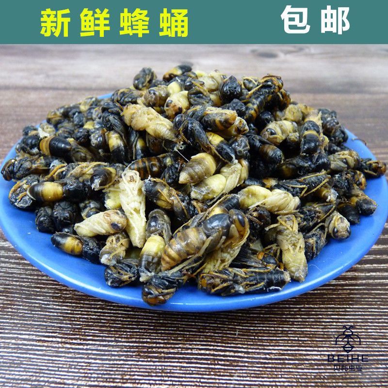 马蜂蛹野生蚕蛹鲜活蜂子新鲜蜂蛹野生马蜂大金环虎头蜂蜂蛹500g