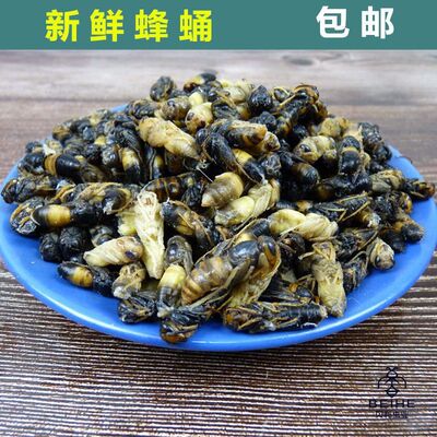 马蜂蛹野生蚕蛹鲜活蜂子新鲜蜂蛹野生马蜂大金环虎头蜂蜂蛹500g