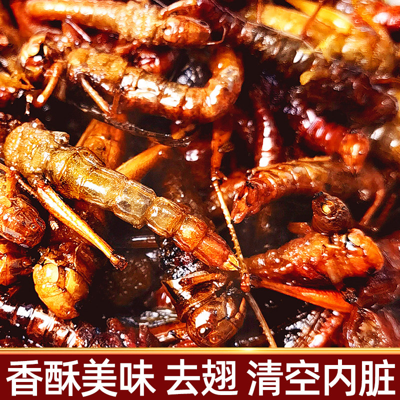蚂蚱新鲜冷冻速冻活虫活体烧烤干货人吃油炸即食商用食用蝗虫