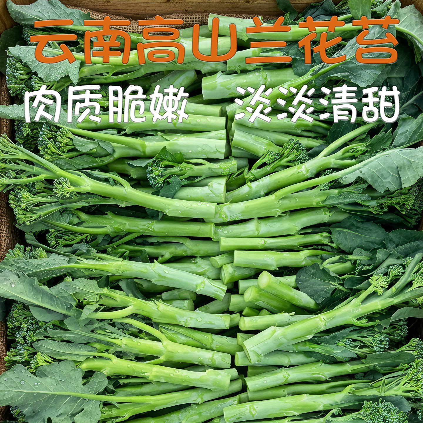 云南高山种植兰花苔新鲜蔬菜肉质脆嫩时令菜甜杆新鲜西兰苔芦笋