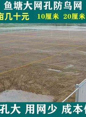 鱼塘防大鸟尼龙材质加粗线防鸟网